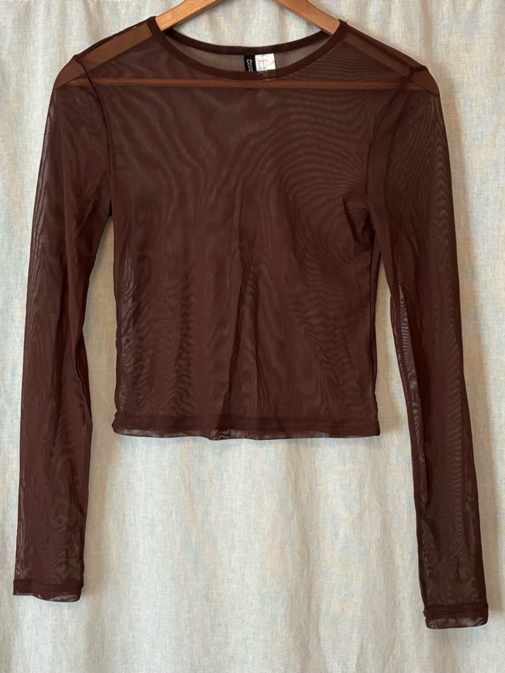 H&M Brown Sheer Long-Sleeve Mesh Top